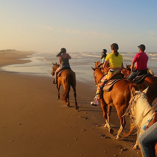 Horse Riding
