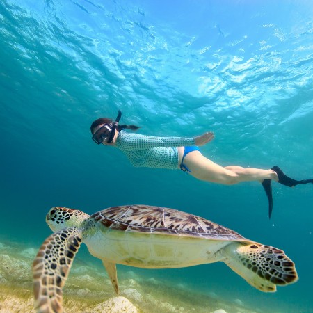 snorkelling